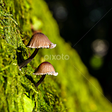 Afraid of the dark ...! by Miguel Silva -  