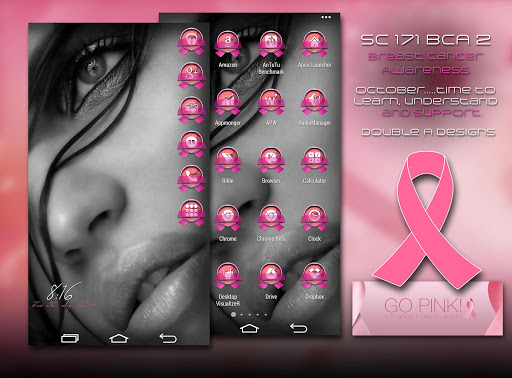SC 171 Breast Cancer Awareness