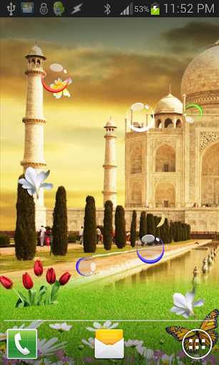 Taj Mahal Birds Live Wallpaper