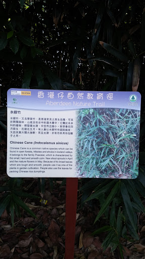 Aberdeen Nature Trail Chinese Cane