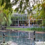 菁芳園 Tenway Garden／花園餐廳／落羽松