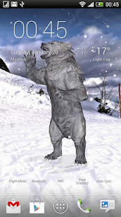 Pocket Bear 3D(圖2)-速報App