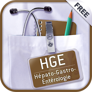 SMARTfiches HGE Free logo