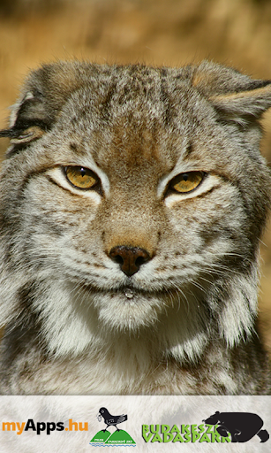 Budakeszi Wildlife Park