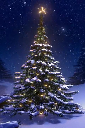 【免費個人化App】Christmas Tree 3D Wallpaper-APP點子