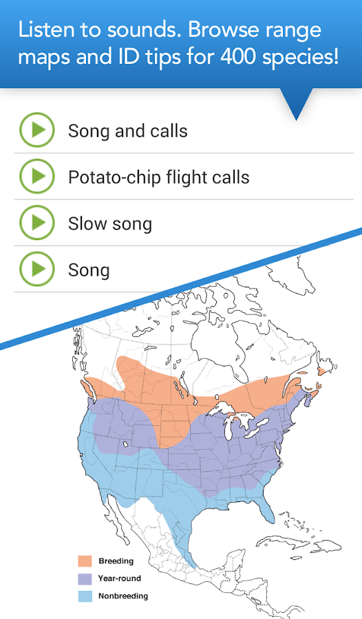 Merlin Bird ID By Cornell Lab Android Apps on Google Play