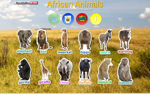 African Animals Video Safari