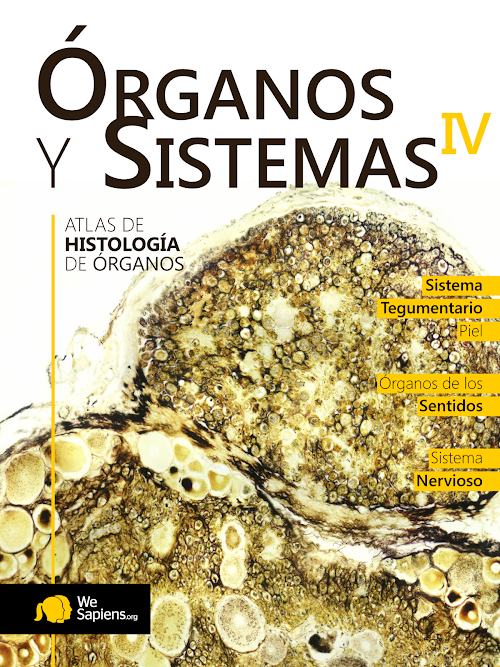 Android application Atlas Interactivo Histología 5 screenshort