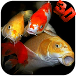 Cover Image of Download Koi HD Video Live Wallpaper 1.0 APK