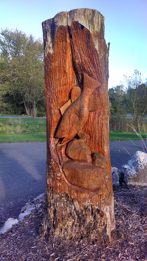 Fish Carving in Tree Trunk