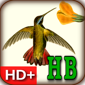 Audubons Hummingbirds Live WP logo