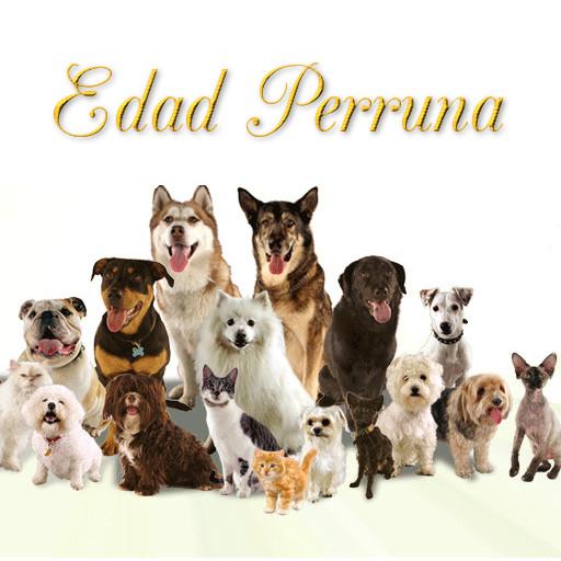 Edad perruna