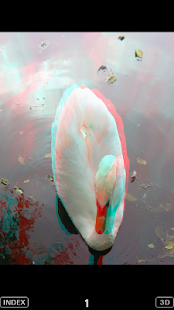 3D Popup Swan(圖3)-速報App
