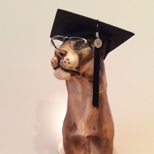 CAP Evaluator Domain Summary 1.0