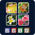 4 Pics 1 Word - Test your IQ icon