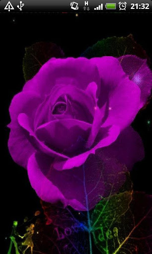 Purple Rose Sparkles LWP