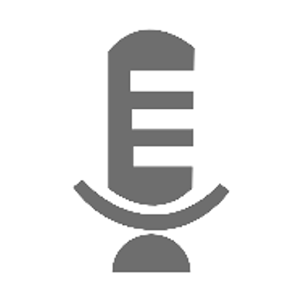 Voice Launcher & Widget.apk 1.16.13