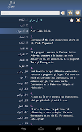 Quran in Romanian poster 8