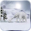 Arctic Home Live Wallpaper