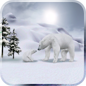 Arctic Home Live Wallpaper