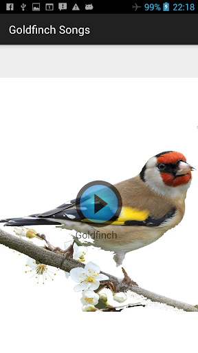 Goldfinch