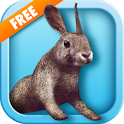 Bunny Simulator Free icon