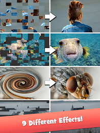 Eye Know: Image FX Word Quiz poster 4