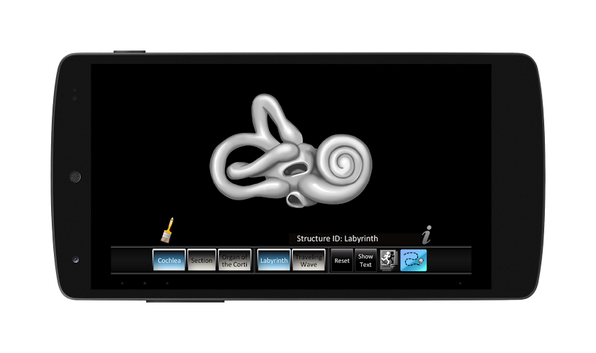 Inner Ear ID Screen 1