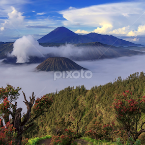 Mount Bromo by Yudik Pradnyana - Landscapes Mountains & Hills