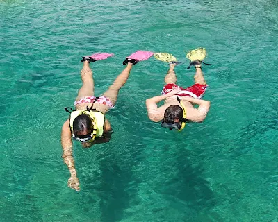 Snorkeling in Owia salt pond on St. Vincent and the Grenadines.