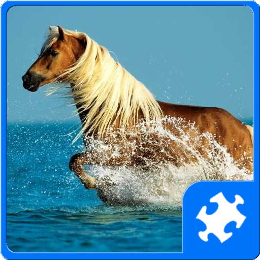 Horses Puzzle 棋類遊戲 App LOGO-APP開箱王