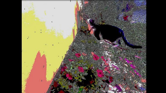 download Hand-Drawn Camera PRO free