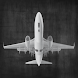 Airplane Quiz