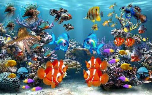 3D Fish Wallpaper