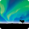 Aurora Borealis LWP APK