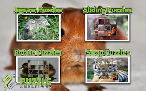 Download Baby Animal Games APK