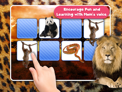 Memory Wildlife Photo For Kids Screenshots 8