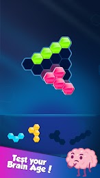 Block! Hexa Puzzle 5