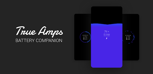 True Amps: Battery Companion 1