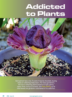 Gardening Magazine Screenshots 11