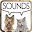 Dog Barking Sounds Download on Windows