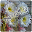 PhotoRiddle Download on Windows