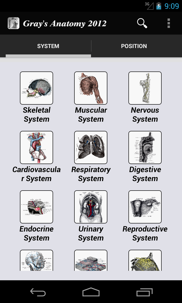 Grays Anatomy 2012 Screen 1