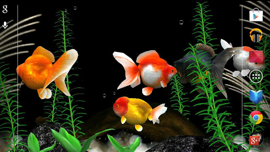 Gold Fish 3D Live Wallpaper(圖2)-速報App