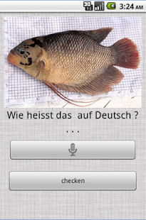 Learn German With Bubble Bee APK - Download Apps on Play Store