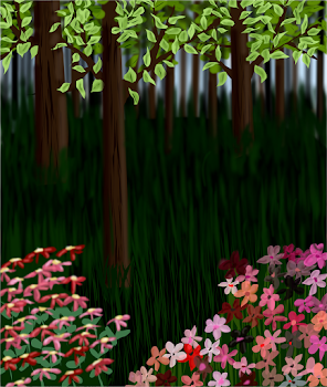 Spring In the Forest