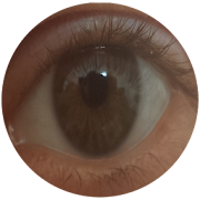 Office Eyes (Eye) Saver