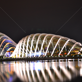Gardens by the Bay  by Abdul Salim - Buildings & Architecture Architectural Detail