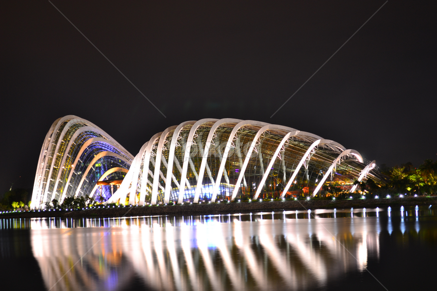 Gardens by the Bay  by Abdul Salim - Buildings & Architecture Architectural Detail