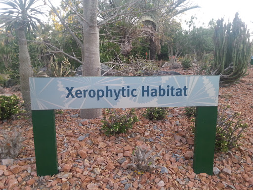 Xerophytic Habitat